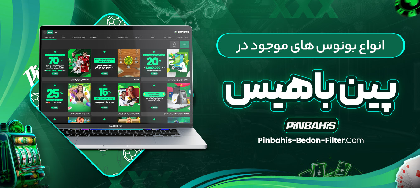 انواع بونوس ‌های موجود در پین باهیس