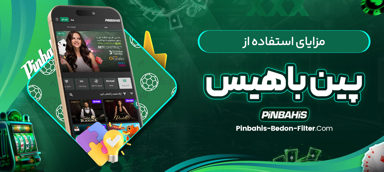 مزایای استفاده از پین باهیس