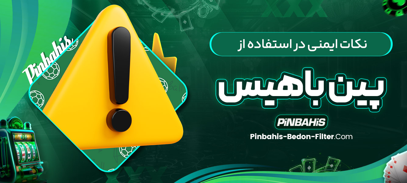 نکات ایمنی در استفاده از پین باهیس